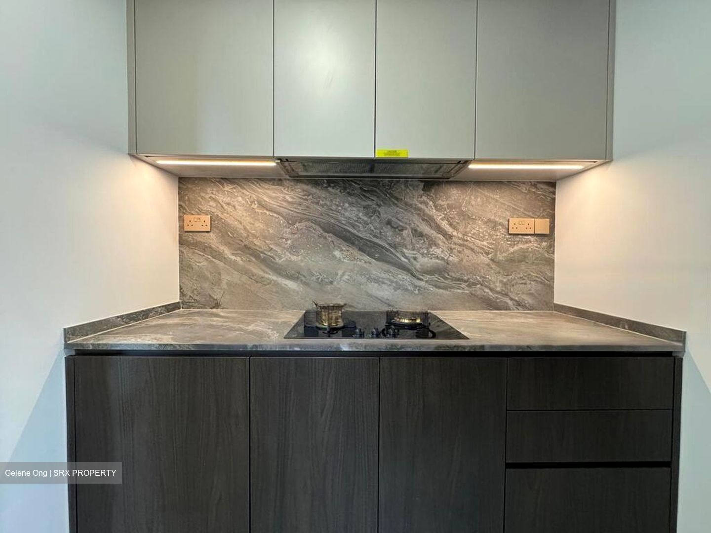 Leedon Green (D10), Condominium #460383101